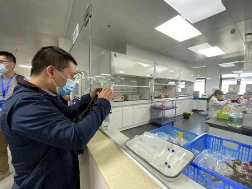 信息技术咨询服务为‘六稳六保’提供强支撑，中国—东盟检验检测认证高技术服务集聚区赋能企业腾飞